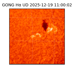 gong - 2025-12-19T11:00:02