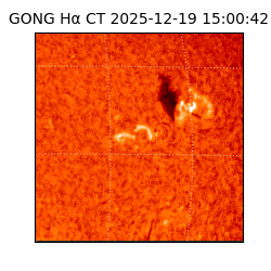 gong - 2025-12-19T15:00:42