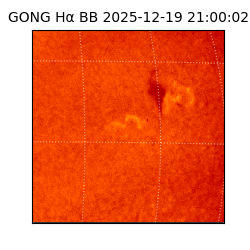 gong - 2025-12-19T21:00:02