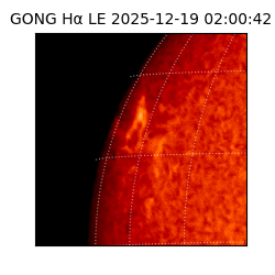 gong - 2025-12-19T02:00:42