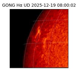 gong - 2025-12-19T08:00:02