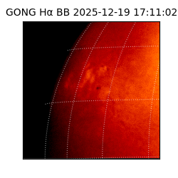 gong - 2025-12-19T17:11:02