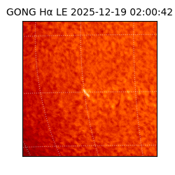 gong - 2025-12-19T02:00:42
