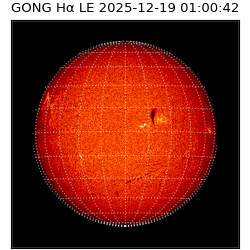 gong - 2025-12-19T01:00:42