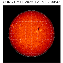 gong - 2025-12-19T02:00:42