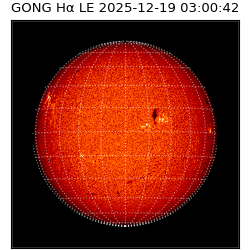 gong - 2025-12-19T03:00:42