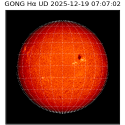 gong - 2025-12-19T07:07:02