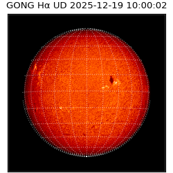 gong - 2025-12-19T10:00:02