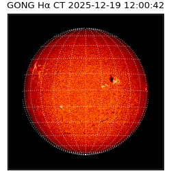 gong - 2025-12-19T12:00:42