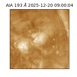 saia - 2025-12-20T09:00:04.843000