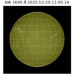 saia - 2025-12-20T11:00:14.130000