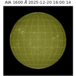 saia - 2025-12-20T16:00:14.126000