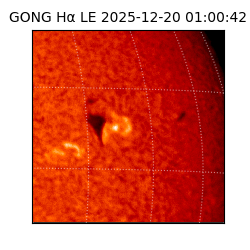 gong - 2025-12-20T01:00:42