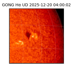 gong - 2025-12-20T04:00:02