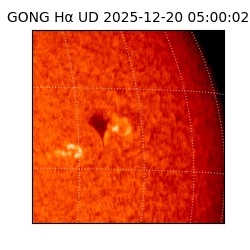 gong - 2025-12-20T05:00:02