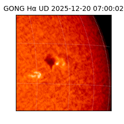 gong - 2025-12-20T07:00:02