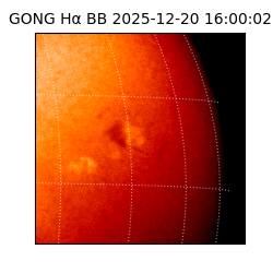gong - 2025-12-20T16:00:02