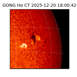 gong - 2025-12-20T18:00:42