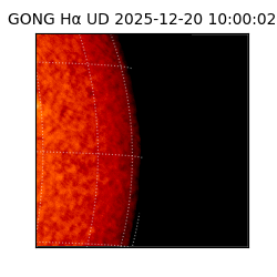 gong - 2025-12-20T10:00:02