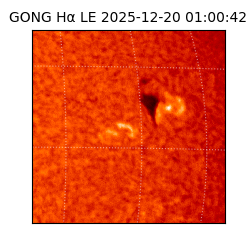 gong - 2025-12-20T01:00:42