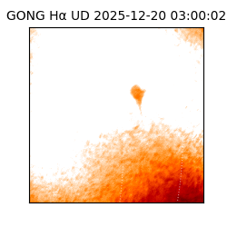 gong - 2025-12-20T03:00:02