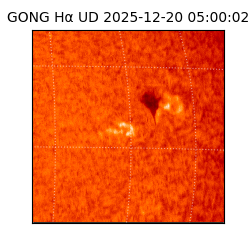 gong - 2025-12-20T05:00:02