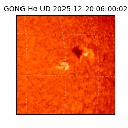 gong - 2025-12-20T06:00:02