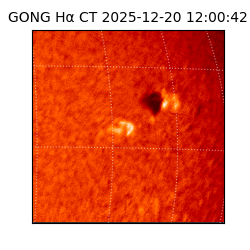 gong - 2025-12-20T12:00:42