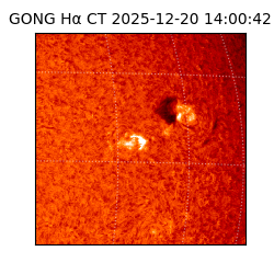 gong - 2025-12-20T14:00:42