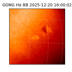 gong - 2025-12-20T16:00:02