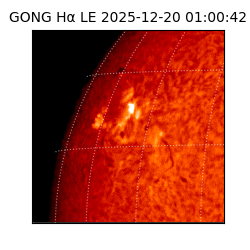 gong - 2025-12-20T01:00:42