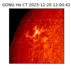 gong - 2025-12-20T12:00:42
