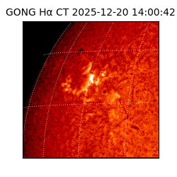 gong - 2025-12-20T14:00:42