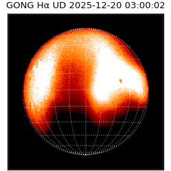 gong - 2025-12-20T03:00:02