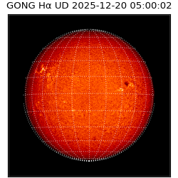 gong - 2025-12-20T05:00:02