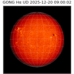 gong - 2025-12-20T09:00:02