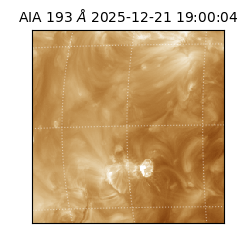 saia - 2025-12-21T19:00:04.843000