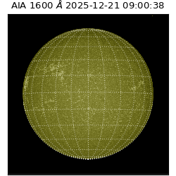 saia - 2025-12-21T09:00:38.125000