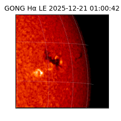 gong - 2025-12-21T01:00:42