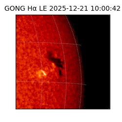 gong - 2025-12-21T10:00:42