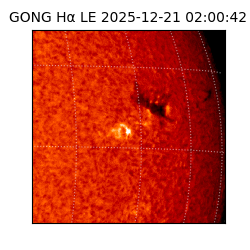 gong - 2025-12-21T02:00:42