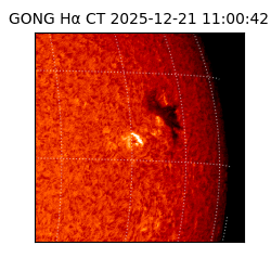 gong - 2025-12-21T11:00:42