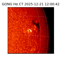 gong - 2025-12-21T12:00:42