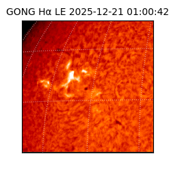 gong - 2025-12-21T01:00:42