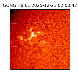 gong - 2025-12-21T02:00:42