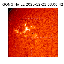 gong - 2025-12-21T03:00:42