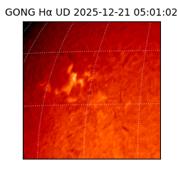 gong - 2025-12-21T05:01:02