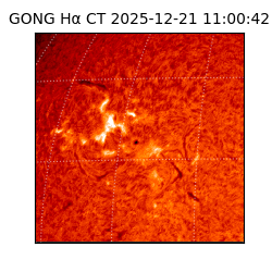 gong - 2025-12-21T11:00:42