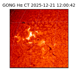 gong - 2025-12-21T12:00:42