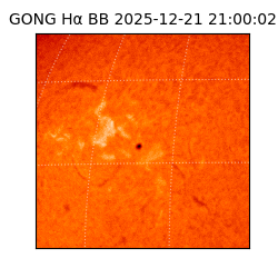 gong - 2025-12-21T21:00:02